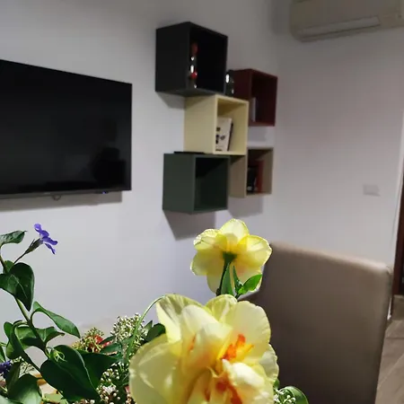 Apartamento Consoli *